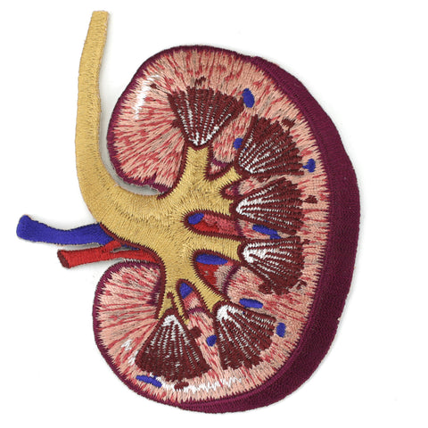 kidney patch image