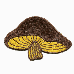 brown yellow mushroom patch image
