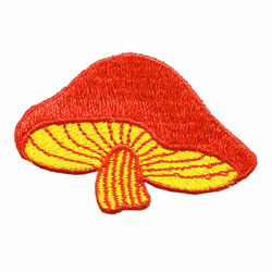 orange yellow mushroom patch image