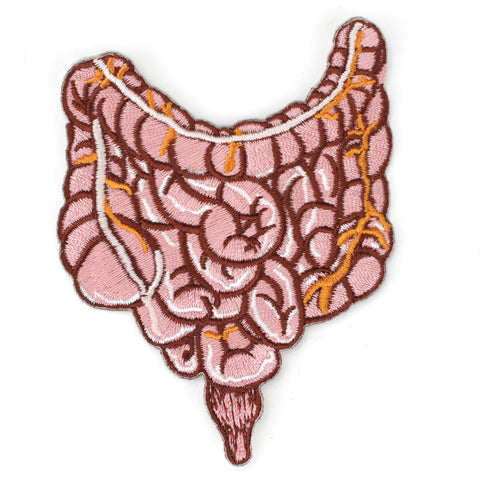 Intestines patch image