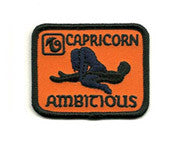 Capricorn patch image