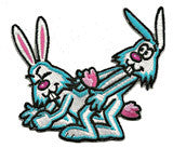rabbit-love patch image
